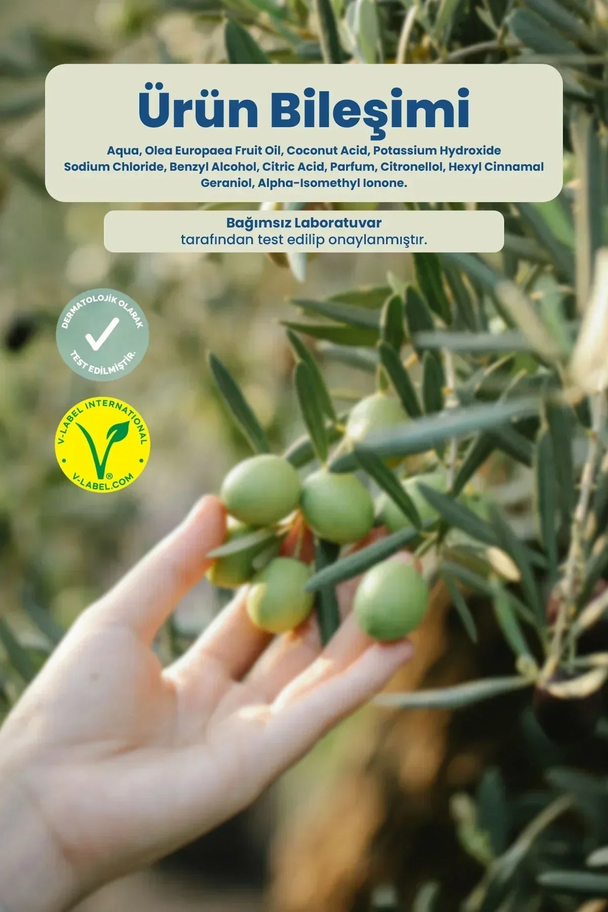 Zeytin dalından yeşil zeytinler tutan el, özgün ürün bileşimi ve dermatolojik onay metniyle