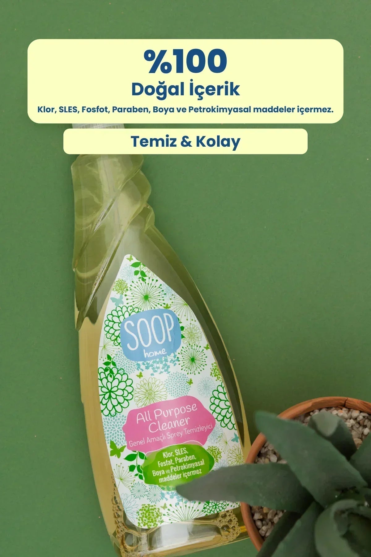 Doğal içerikli SOOP home genel amaçlı sprey temizleyici şişesi ve sukulent bitki